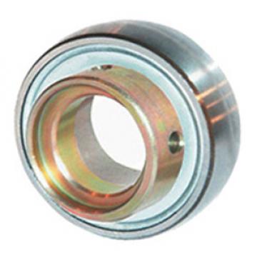 INA RAE12-NPP-B Insert Bearings Spherical OD