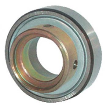 INA RAE15-NPP-FA106 Insert Bearings Cylindrical OD