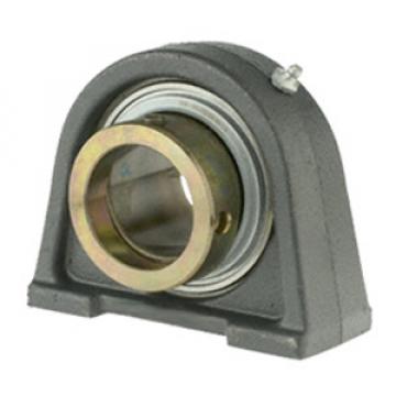 INA TSHE60-N Pillow Block Bearings