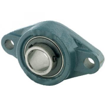  ASFD205-100D1 Flange Block Bearings