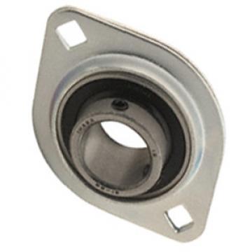 INA RATY30 Flange Block Bearings