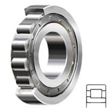 NSK NJ218W Cylindrical Roller Bearings