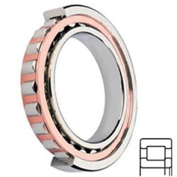 NSK NUP2305ET services Cylindrical Roller Bearings