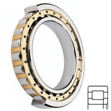 TIMKEN NUP252MA services Cylindrical Roller Bearings