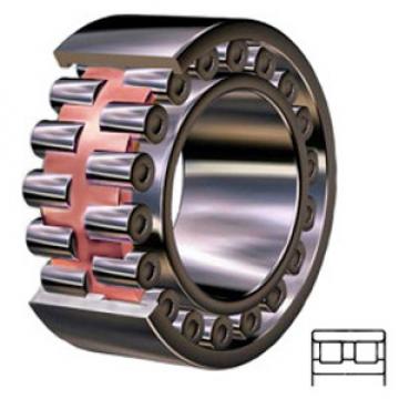 NSK NN3009TBKRE44CC1P4 services Cylindrical Roller Bearings