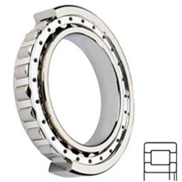 NSK NUP215W services Cylindrical Roller Bearings