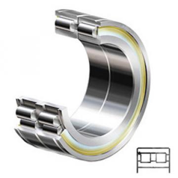 INA SL04150-PP services Cylindrical Roller Bearings