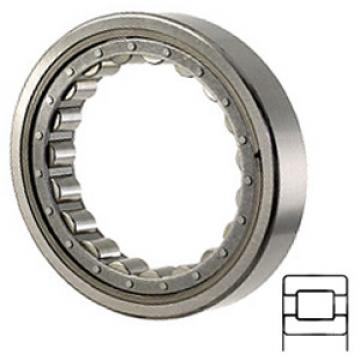 TORRINGTON 5220-WS services Cylindrical Roller Bearings
