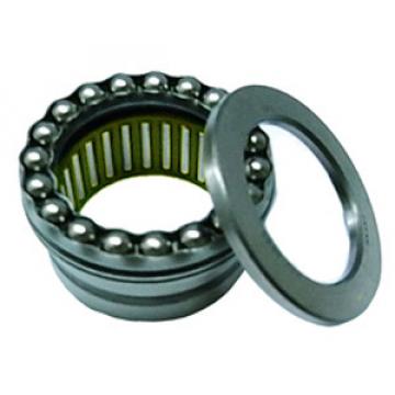 SCHAEFFLER GROUP USA INC NKX10-TV services Thrust Roller Bearing