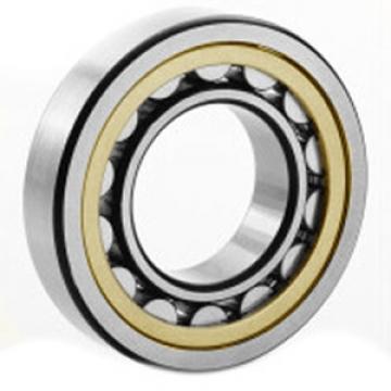 FAG BEARING 20313-MB Spherical Roller Bearings