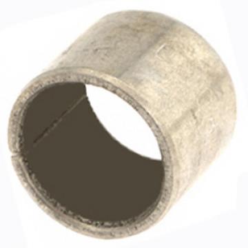  PAP1006P10 Sleeve Bearings