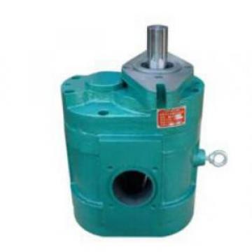 DCB-B1000 Low Noise Large Flow Gear Pump