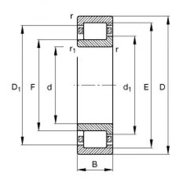 FAG Cylindrical roller bearings - NJ2211-E-XL-TVP2