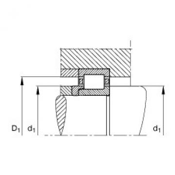 FAG Cylindrical roller bearings - NJ214-E-XL-TVP2 + HJ214-E