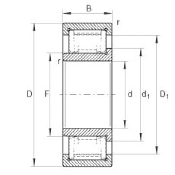 FAG Cylindrical roller bearings - ZSL192311