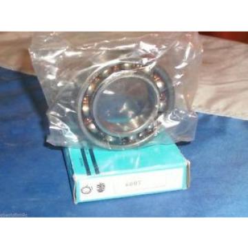 NSK HOOVER 6007 DEEP GROOVE RADIAL BALL BEARING