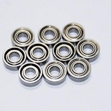 SR2FUZ Stainless Steel Radial Bearing Set of 10