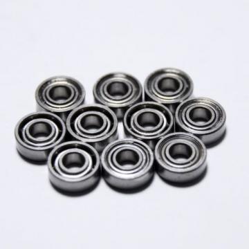 SR2FUZ Stainless Steel Radial Bearing Set of 10