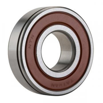 2TS3-6007LLUA1N#01, Single Row Radial Ball Bearing - Double Sealed (Contact Rubber Seal), Snap Ring Groove