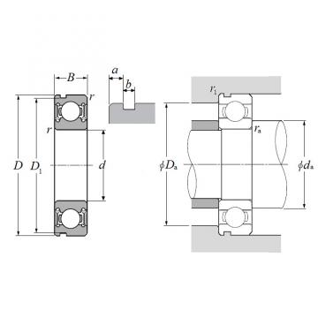 2TS3-6007LLUA1N#01, Single Row Radial Ball Bearing - Double Sealed (Contact Rubber Seal), Snap Ring Groove