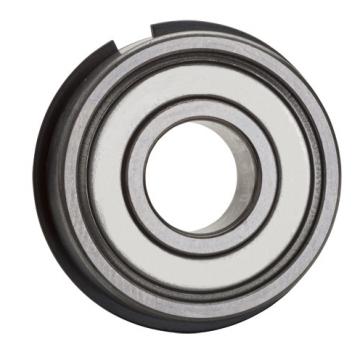 60/22ZNRC3, Single Row Radial Ball Bearing - Single Shielded w/ Snap Ring