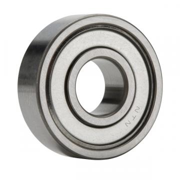 60/22ZZ, Single Row Radial Ball Bearing - Double Shielded