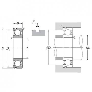 6006ZNC3, Single Row Radial Ball Bearing - Single Shielded w/ Snap Ring Groove