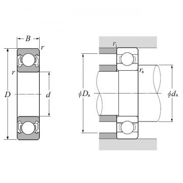 6007HVZZ, Single Row Radial Ball Bearing - Double Shielded