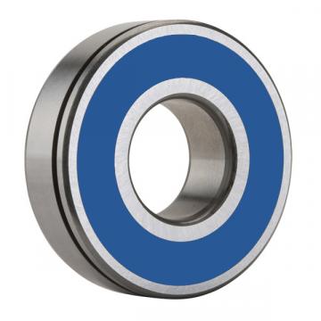 6007LLHN, Single Row Radial Ball Bearing - Double Sealed (Light Contact Seal), Snap Ring Groove