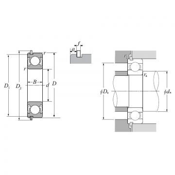 6007ZZNR, Single Row Radial Ball Bearing - Double Shielded w/ Snap Ring