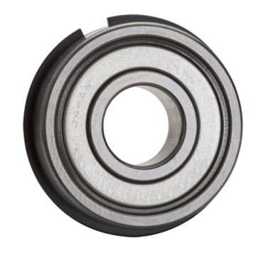 6009ZZNR, Single Row Radial Ball Bearing - Double Shielded w/ Snap Ring