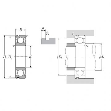 6010ZZNC3, Single Row Radial Ball Bearing - Double Shielded, Snap Ring Groove