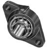 INA RCJTA40N Flange Block Bearings