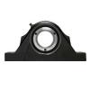 SKF SYNT 50 L Pillow Block Bearings