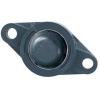 NTN CM-UCFL210D1 Flange Block Bearings