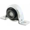  ASRPP202-010 Pillow Block Bearings #1 small image