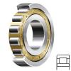 NTN NU2305EG1 Cylindrical Roller Bearings #1 small image