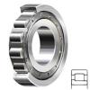 NSK NJ210W services Cylindrical Roller Bearings