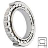 NSK NUP204W services Cylindrical Roller Bearings #1 small image