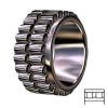 INA RSL185007 services Cylindrical Roller Bearings #1 small image