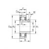 FAG Radial insert ball bearings - GAY100-NPP-B-AS2/V #1 small image