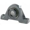 FAFNIR TAS1 1/4 Pillow Block Bearings #1 small image