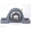 FHSPWC204-20mm Pillow Block Cast Iron Light Duty 20mm Ball Bearings Rolling #5 small image