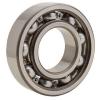 NTN 204BBAR Radial Ball Bearing, 0.6100 In. W