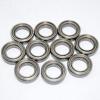 SR620ZZ Stainless Steel Radial Bearing Set of 10