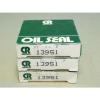 BRAND NEW - LOT OF 3x PIECES - CR Chicago Rawhide 13951 Oil Seals