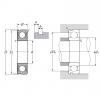 2TS3-6204LLUA1N#01, Single Row Radial Ball Bearing - Double Sealed (Contact Rubber Seal), Snap Ring Groove