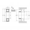 60/22N, Single Row Radial Ball Bearing - Open Type, Snap Ring Groove