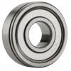 60/28ZNC3, Single Row Radial Ball Bearing - Single Shielded w/ Snap Ring Groove #1 small image