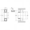 6003ZZNC3, Single Row Radial Ball Bearing - Double Shielded, Snap Ring Groove